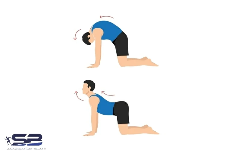 حرکت کشش گربه ای چیست