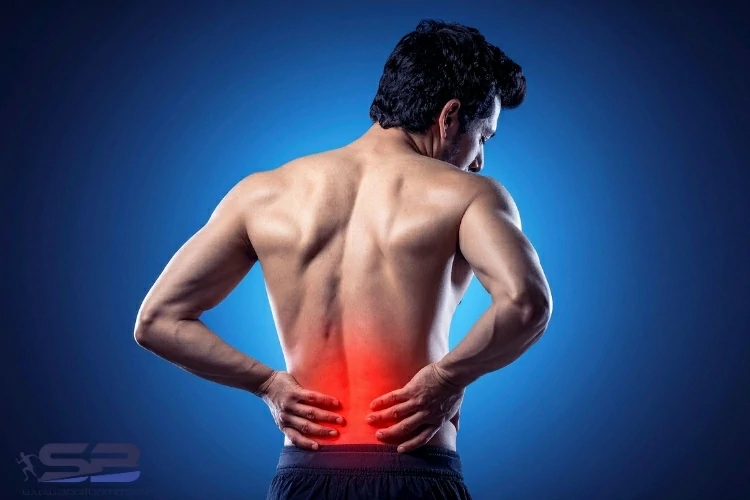 ورزش ویلیامز برای کمردرد