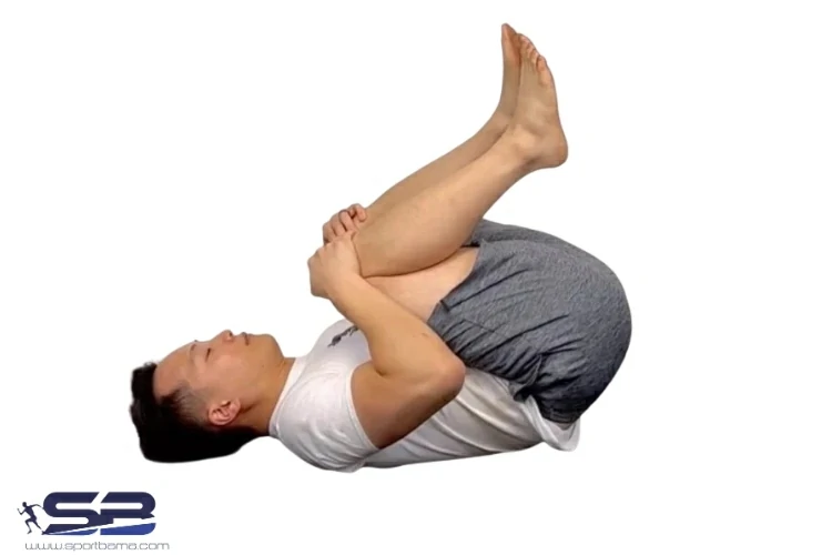 بهترین ورزش برای درمان کمردرد