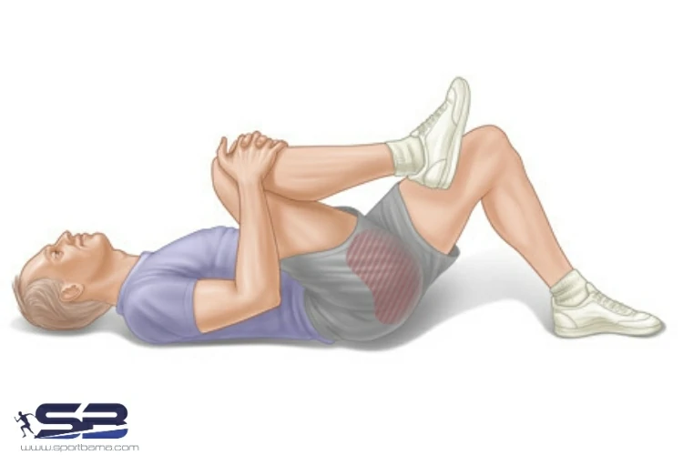 ورزش یک زانو به سینه از ورزش های ویلیامز